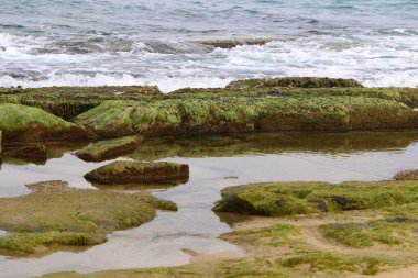 İsrail devletinin kuzeyinde Akdeniz 'in ıssız kıyıları 