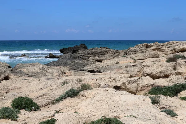 Medelhavets Övergivna Kust Norra Delen Staten Israel — Stockfoto