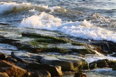 İsrail devletinin kuzeyinde Akdeniz 'in ıssız kıyıları 