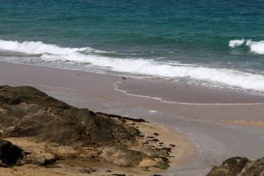İsrail devletinin kuzeyinde Akdeniz 'in ıssız kıyıları 