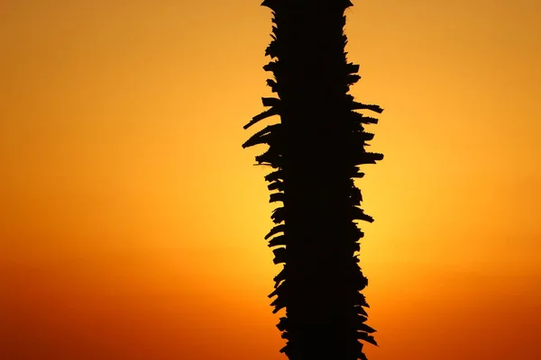 Iluminación Roja Ardiente Del Cielo Sobre Horizonte Atardecer —  Fotos de Stock