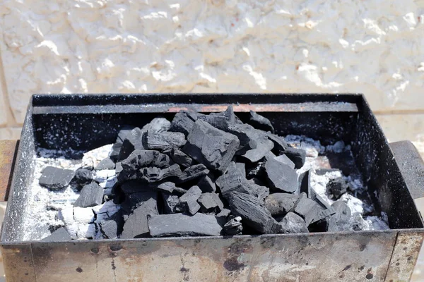 Et ve sebzeler mangalda kızartılır. Deniz kenarındaki ormanda piknik. 