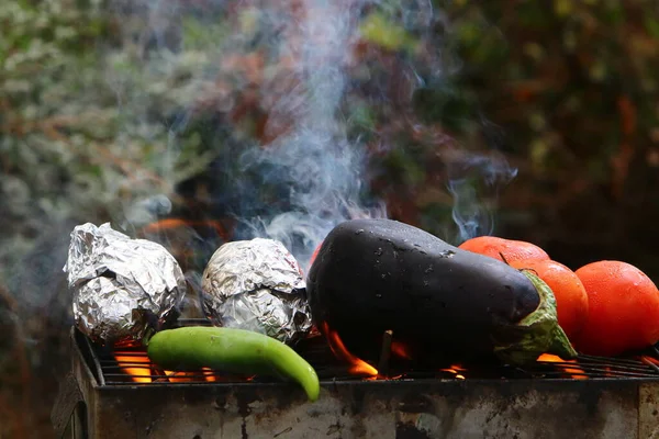 Meat Vegetables Fried Charcoal Grill Picnic Forest Sea — Stock Photo, Image