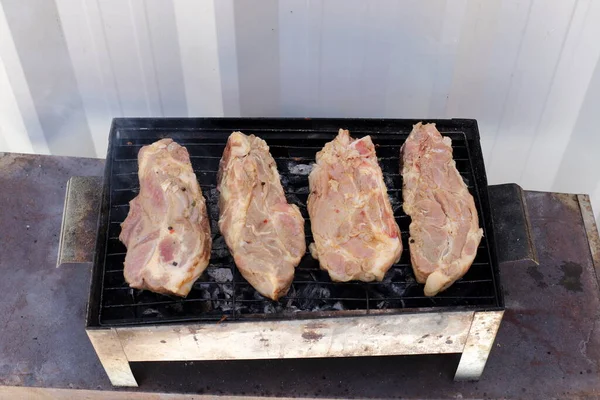 Kött Och Grönsaker Steks Kolgrill Picknick Skogen Vid Havet — Stockfoto