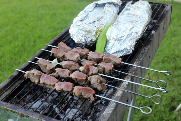 Maso Zelenina Smaží Grilu Dřevěném Uhlí Piknik Lese Moře — Stock fotografie