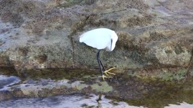 Akdeniz kıyısında balıkçılık 