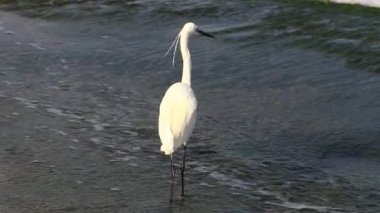 Akdeniz kıyısında balıkçılık 