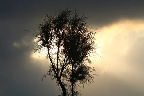 Nuvens Tempestade Negra Céu Manhã Sobre Mediterrâneo Norte Israel — Fotografia de Stock