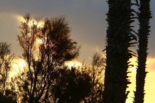 İsrail 'in kuzeyindeki Akdeniz üzerinde sabah gökyüzünde kara fırtına bulutları 