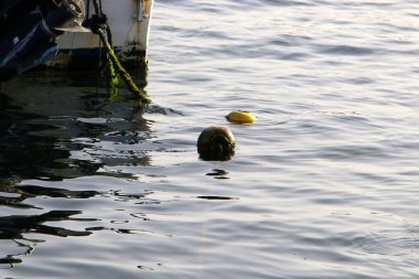 Gemi İsrail 'in kuzeyindeki Akko limanında demirli. 
