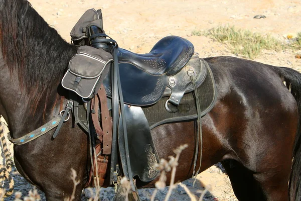Cavaleiro Cavalo Para Passeio Nas Margens Mar Mediterrâneo Norte Israel — Fotografia de Stock