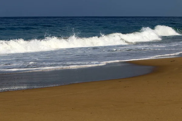 以色列北部地中海沿岸的沙滩 夏天又热又干 — 图库照片