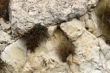 İsrail 'in kuzeyindeki dağlara yakın taş ve kaya dokusu 