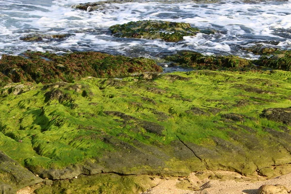 İsrail 'in kuzeyindeki dağlara yakın taş ve kaya dokusu 