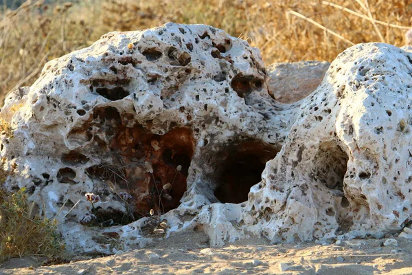 Υφή Λίθων Και Πετρωμάτων Από Κοντά Στα Βουνά Του Βόρειου — Φωτογραφία Αρχείου