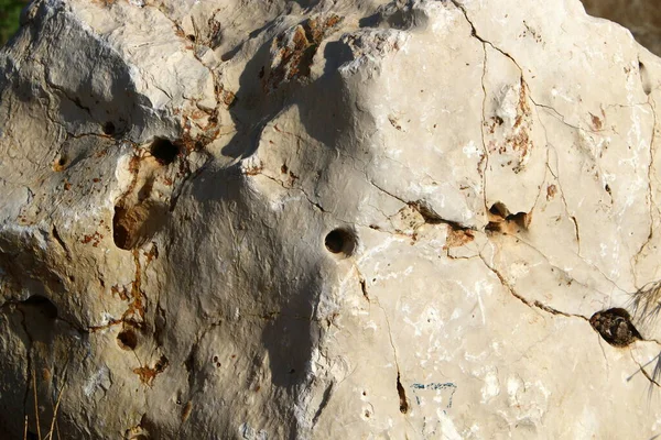 İsrail 'in kuzeyindeki dağlara yakın taş ve kaya dokusu 