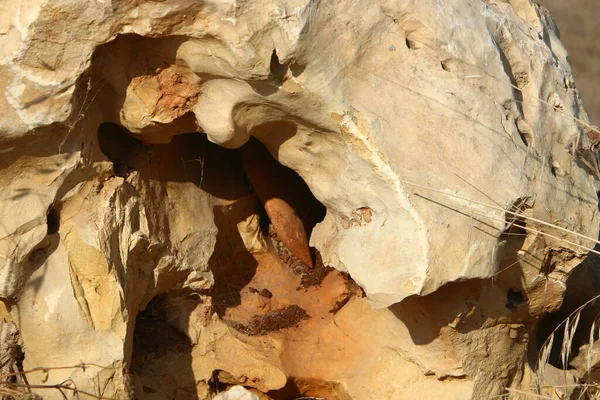 İsrail 'in kuzeyindeki dağlara yakın taş ve kaya dokusu 