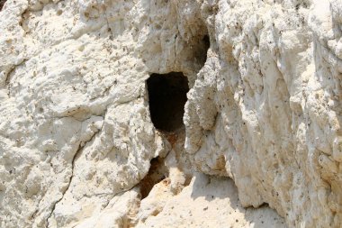 İsrail 'in kuzeyindeki dağlara yakın taş ve kaya dokusu 