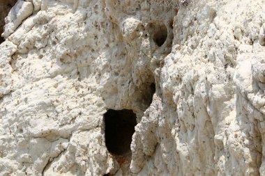 İsrail 'in kuzeyindeki dağlara yakın taş ve kaya dokusu 