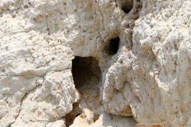 İsrail 'in kuzeyindeki dağlara yakın taş ve kaya dokusu 