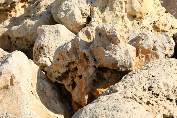 Textura Piedras Rocas Primer Plano Las Montañas Del Norte Israel —  Fotos de Stock