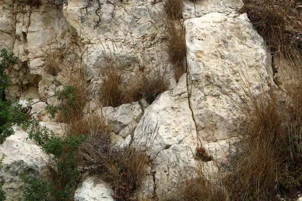 Textura Piedras Rocas Primer Plano Las Montañas Del Norte Israel —  Fotos de Stock