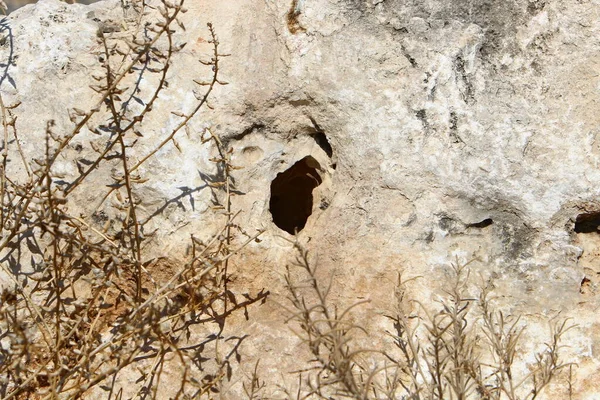 Textura Pedras Rochas Close Nas Montanhas Norte Israel — Fotografia de Stock