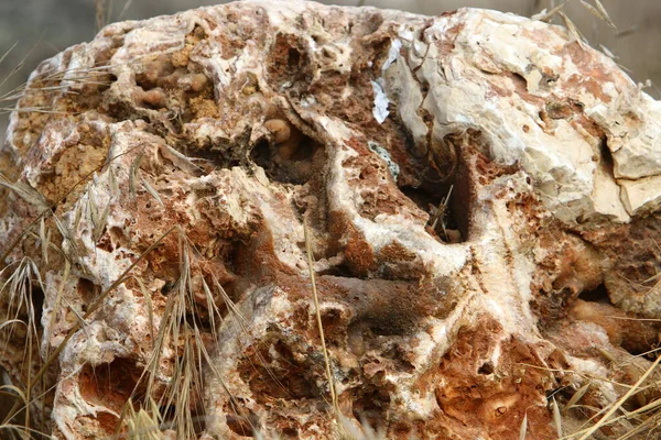 texture of stones and rocks close-up in the mountains in northern Israel