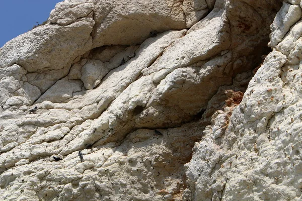 İsrail 'in kuzeyindeki dağlara yakın taş ve kaya dokusu 