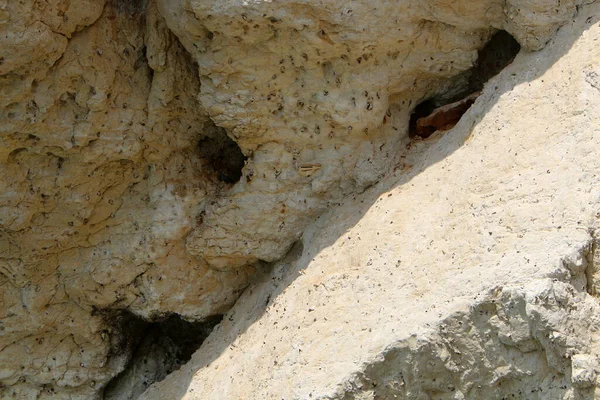 Texture Des Pierres Des Rochers Gros Plan Dans Les Montagnes — Photo