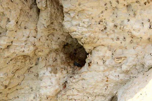 Texture Des Pierres Des Rochers Gros Plan Dans Les Montagnes — Photo