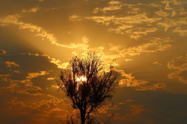 Glühende Sonne Vor Dem Hintergrund Eines Rot Bewölkten Himmels — Stockfoto