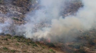 İsrail ile Lübnan arasındaki sınırdaki dağlardaki bir ormanda şiddetli bir yangın. Ağaçlar ve kuru otlar yanıyor.. 