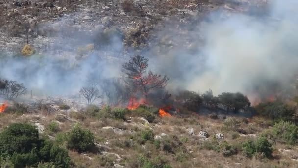 Μια Βίαιη Πυρκαγιά Ένα Δάσος Στα Βουνά Στα Σύνορα Μεταξύ — Αρχείο Βίντεο