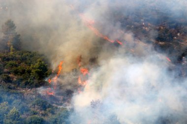 İsrail ile Lübnan arasındaki sınırdaki dağlardaki bir ormanda şiddetli bir yangın. Ağaçlar ve kuru otlar yanıyor.. 
