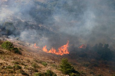 İsrail ile Lübnan arasındaki sınırdaki dağlardaki bir ormanda şiddetli bir yangın. Ağaçlar ve kuru otlar yanıyor.. 