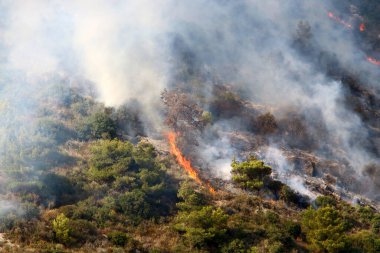 İsrail ile Lübnan arasındaki sınırdaki dağlardaki bir ormanda şiddetli bir yangın. Ağaçlar ve kuru otlar yanıyor.. 