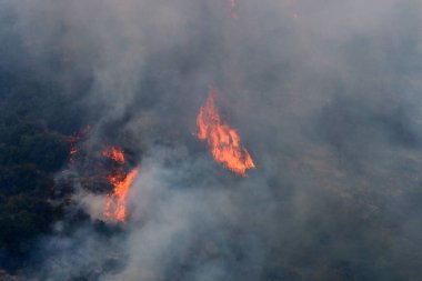 İsrail ile Lübnan arasındaki sınırdaki dağlardaki bir ormanda şiddetli bir yangın. Ağaçlar ve kuru otlar yanıyor.. 