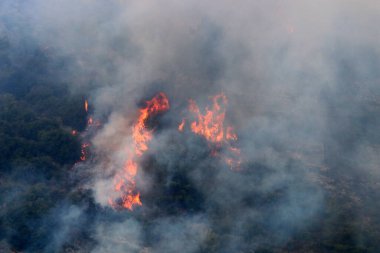 İsrail ile Lübnan arasındaki sınırdaki dağlardaki bir ormanda şiddetli bir yangın. Ağaçlar ve kuru otlar yanıyor.. 