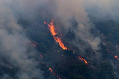 İsrail ile Lübnan arasındaki sınırdaki dağlardaki bir ormanda şiddetli bir yangın. Ağaçlar ve kuru otlar yanıyor.. 