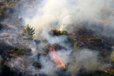 İsrail ile Lübnan arasındaki sınırdaki dağlardaki bir ormanda şiddetli bir yangın. Ağaçlar ve kuru otlar yanıyor.. 