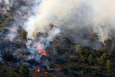 İsrail ile Lübnan arasındaki sınırdaki dağlardaki bir ormanda şiddetli bir yangın. Ağaçlar ve kuru otlar yanıyor.. 