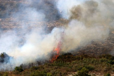 İsrail ile Lübnan arasındaki sınırdaki dağlardaki bir ormanda şiddetli bir yangın. Ağaçlar ve kuru otlar yanıyor.. 