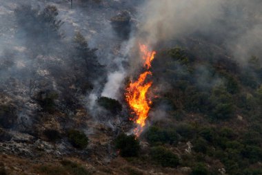 İsrail ile Lübnan arasındaki sınırdaki dağlardaki bir ormanda şiddetli bir yangın. Ağaçlar ve kuru otlar yanıyor.. 