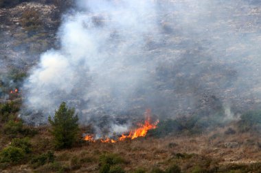İsrail ile Lübnan arasındaki sınırdaki dağlardaki bir ormanda şiddetli bir yangın. Ağaçlar ve kuru otlar yanıyor.. 