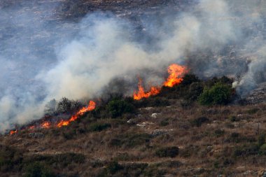 İsrail ile Lübnan arasındaki sınırdaki dağlardaki bir ormanda şiddetli bir yangın. Ağaçlar ve kuru otlar yanıyor.. 