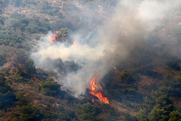 イスラエルとレバノンの国境の山の中の森の中での激しい火災 木や乾いた草が燃えている — ストック写真
