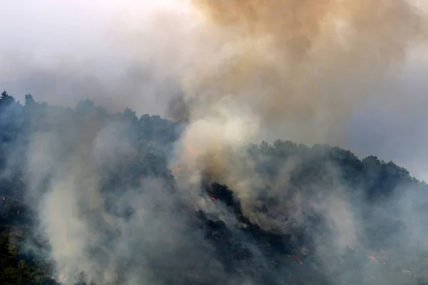 Gwałtowny Pożar Lesie Górach Granicy Izraela Libanu Drzewa Sucha Trawa — Zdjęcie stockowe