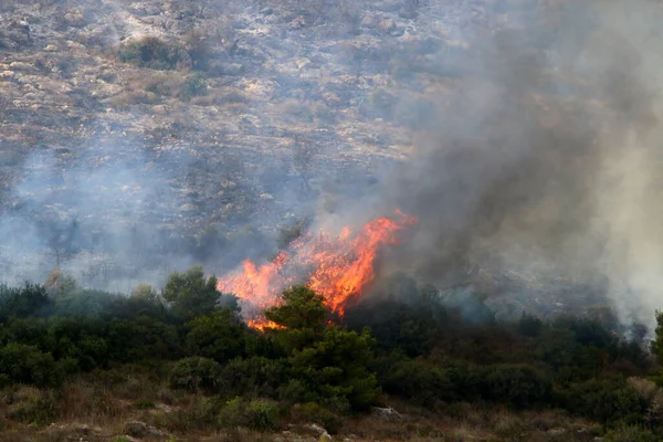 Μια Βίαιη Πυρκαγιά Ένα Δάσος Στα Βουνά Στα Σύνορα Μεταξύ — Φωτογραφία Αρχείου