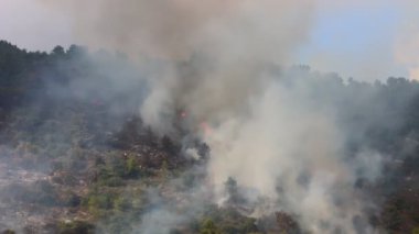 İsrail ile Lübnan arasındaki sınırdaki dağlardaki bir ormanda şiddetli bir yangın. Ağaçlar ve kuru otlar yanıyor.. 